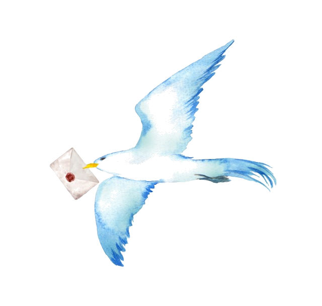 AdobeStock_488468576_transparent