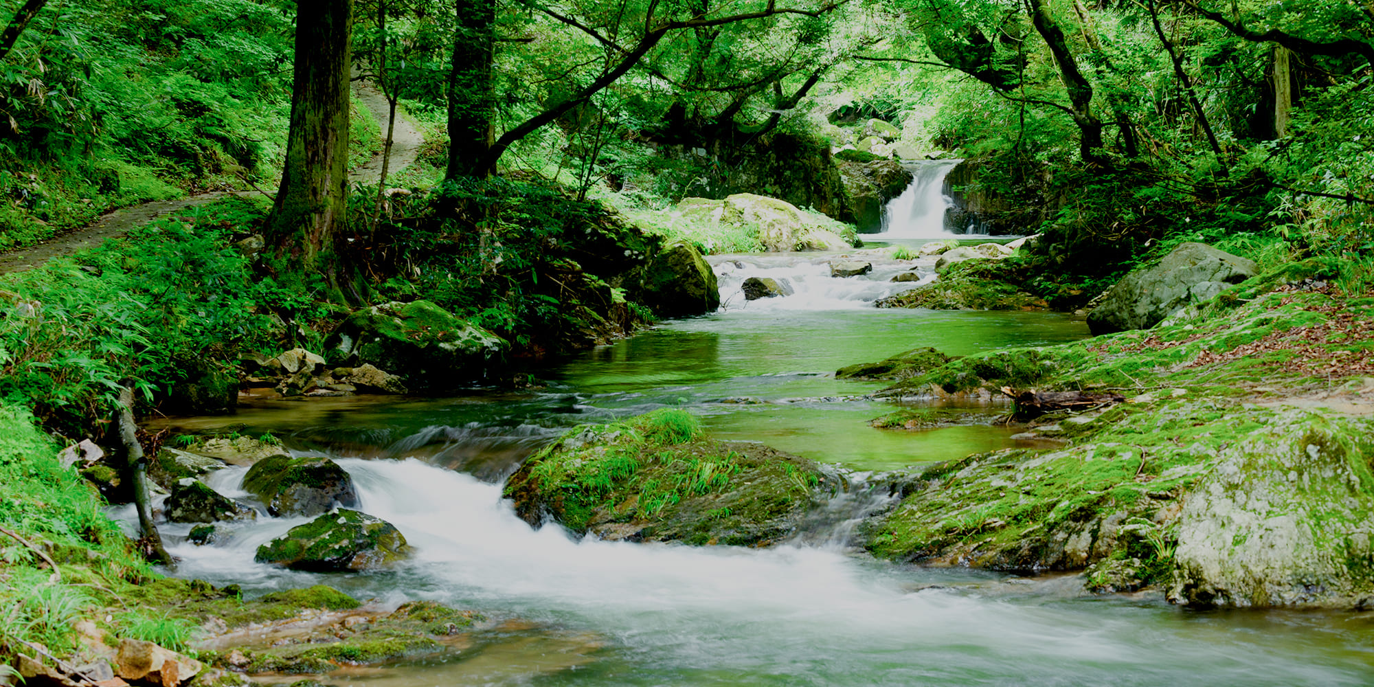para_bg